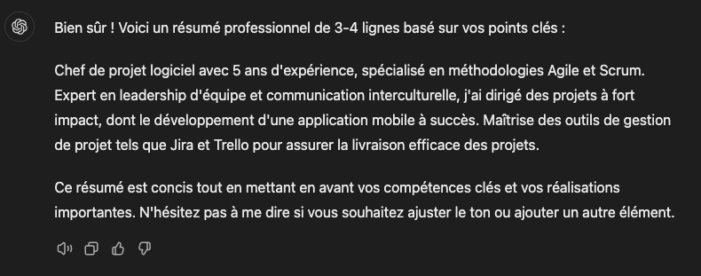 Résumé Professionnel CV